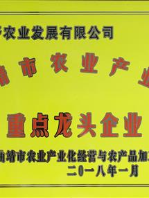 荣誉资质