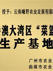 荣誉资质