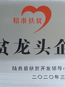 荣誉资质