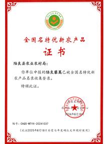 荣誉资质