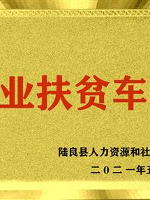 荣誉资质
