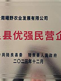 荣誉资质
