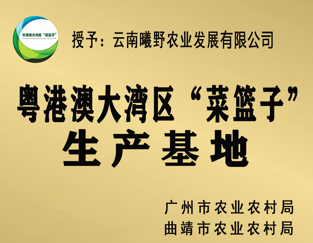 荣誉墙3.jpg