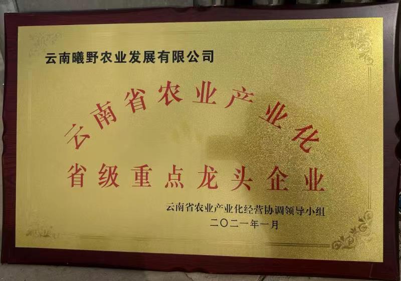 荣誉墙15.jpg